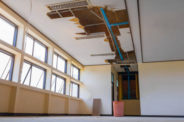 Best Mold removal after water damage  in Silt, CO