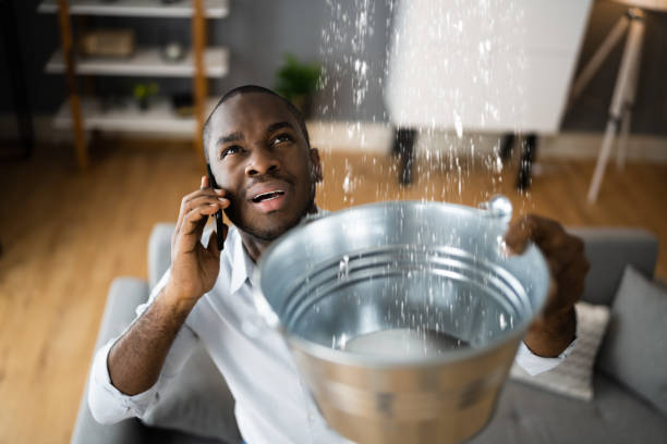 Best Basement water damage restoration  in Silt, CO