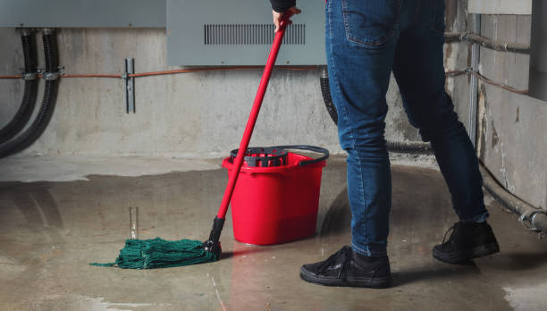 Best Residential water damage restoration  in Silt, CO