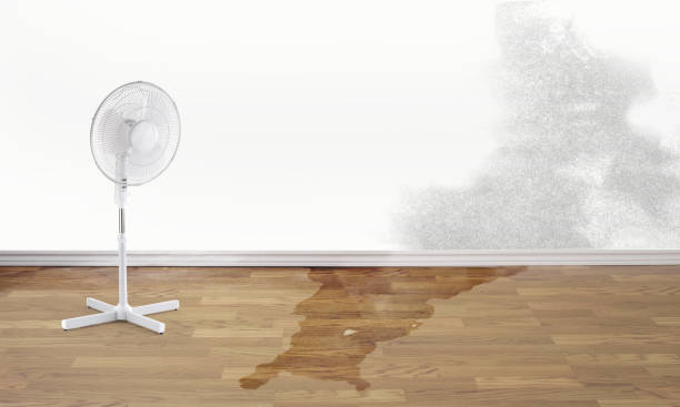 Best Ceiling water damage repair  in Silt, CO