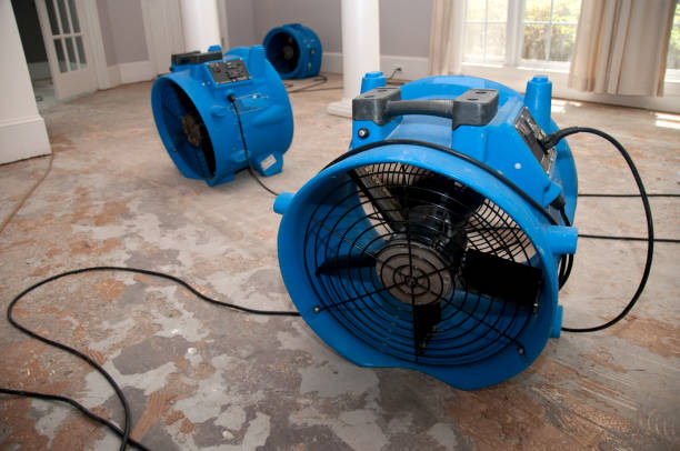 24/7 water damage repair in CO