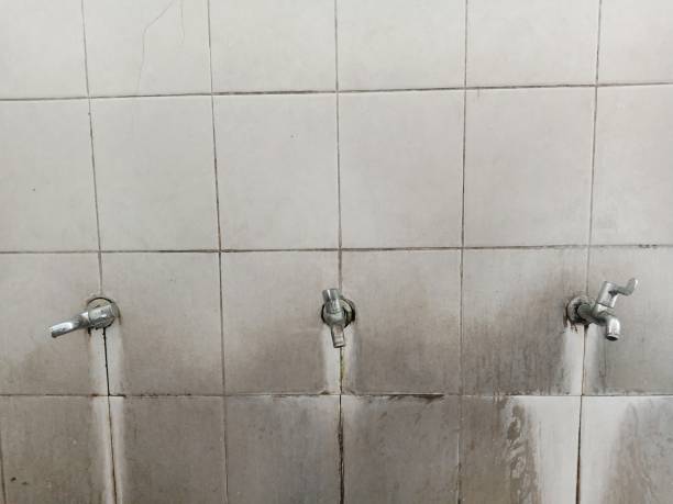 Best Commercial water damage restoration  in Silt, CO