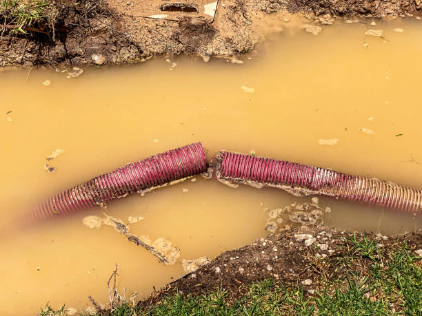 Best Flood restoration services  in Silt, CO
