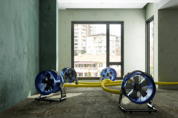 Best Sewage cleanup and water damage restoration  in Silt, CO